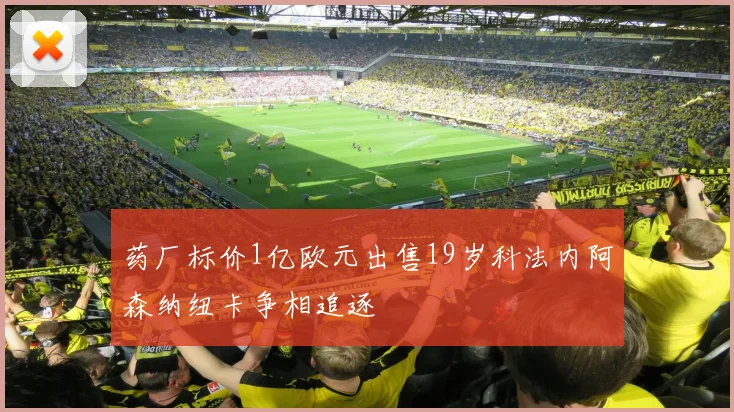 药厂标价1亿欧元出售19岁科法内阿森纳纽卡争相追逐